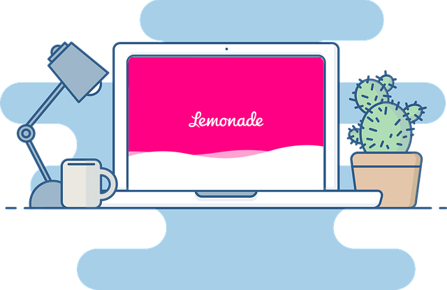 Lemonade Renters Insurance Review, Prices, and Discounts (2024)
