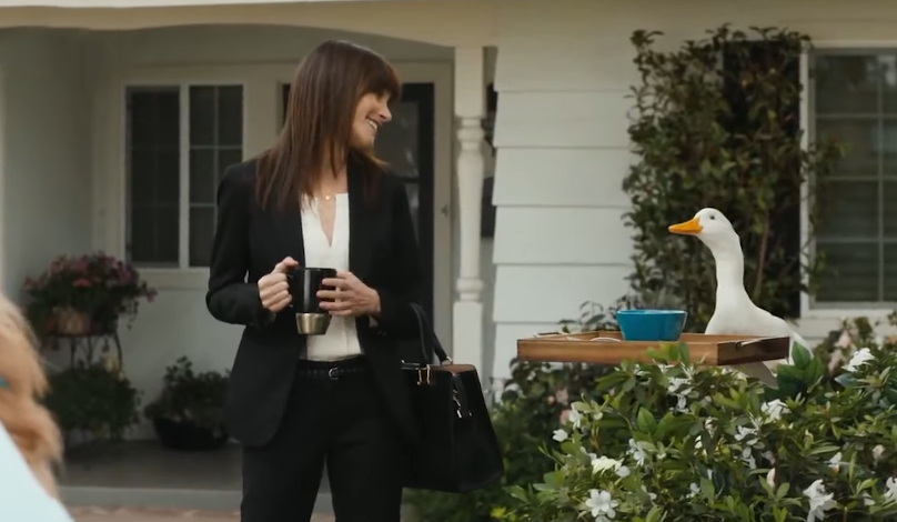 aflac-commercial-women-work